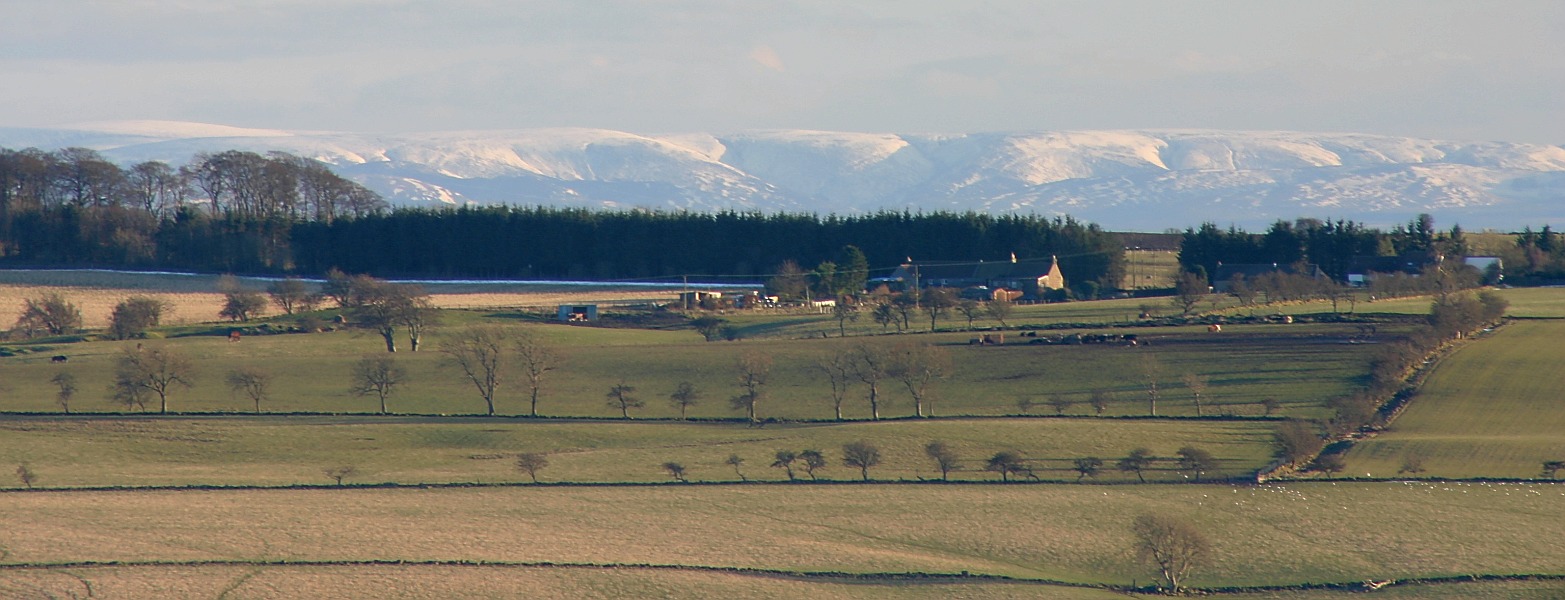 Lammermuirs