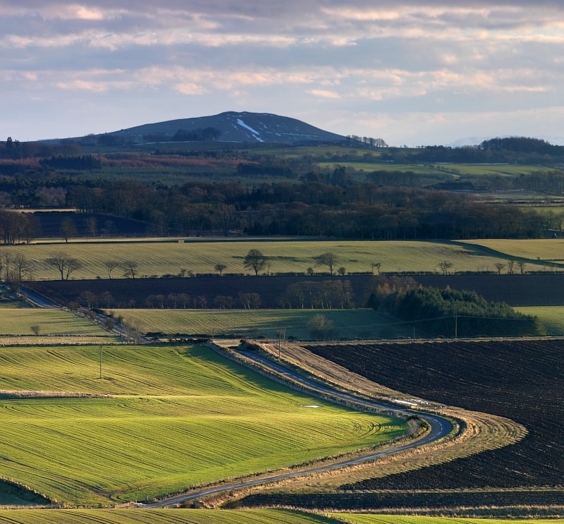 Largo Law