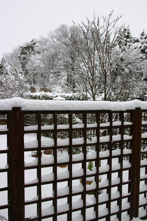 Snow 1
