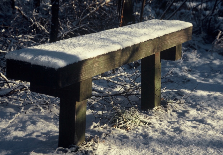 Bench